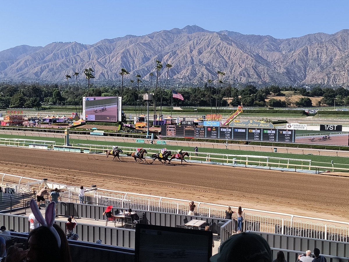 They are off in the Santa Maria stakes🤩