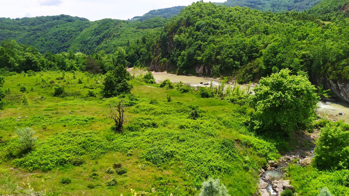 İçme sularına yoğun klor katılıyor

Havadan oksijen, doğa,canlılar zehirleniyor

Yapay iklim silahlarıyla tarım yapılmaz hale getiriliyor

Yetmezmiş gibi
Yapay sıcaklar ile insanları kavurmayı planlıyorlar

Kıtlık terörü  başlangıcı 2025  yılı .

İklim değil kıtlık kanunu a hayır