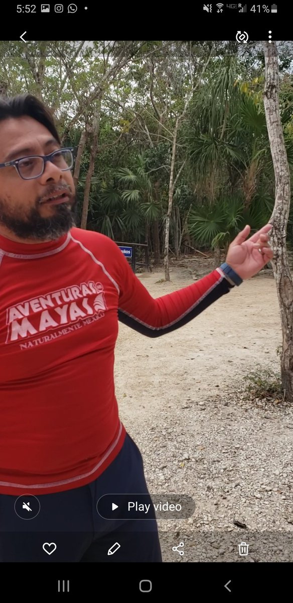 Thank you Edwin! The coolest guide in Tulum. He made this video for our Third Grade for Earth Day! Edwin explained why we can't  use even reef safe sunblock when we snorkel in freshwater, &amp;  the cool animals that need the water like Jaguars. #WeAreChappaqua