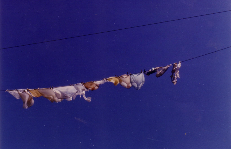 FilmsQuirky's tweet photo. Apr 19 : A Clothesline
#Bales2025FilmChallenge #FilmX 📽️ 🎬
#Clotheslines (1982)
A short film that shows the love/hate relationship that women have with the task of cleaning the family's clothes.
[2/2] https://t.co/PLC2EW8fph