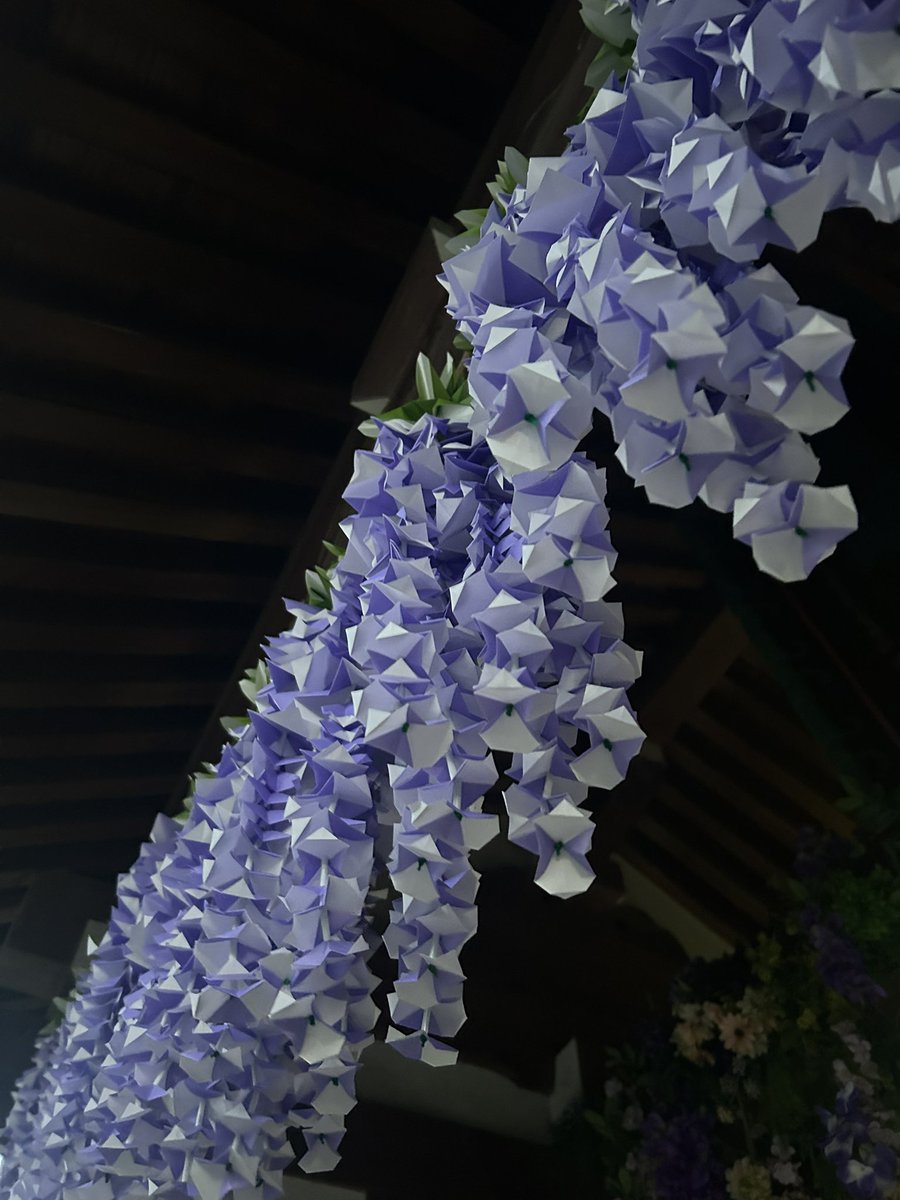 satopoorio's tweet photo. 只今折り紙の藤が満開です https://t.co/JvAitpjKjr