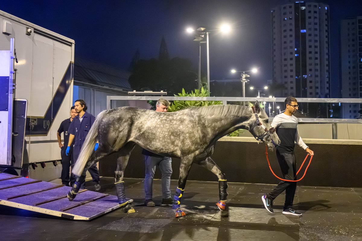 HKJC Racing (@hkjc_racing) on Twitter photo Touchdown in Hong Kong for Bahrainโs Goemon! ๐ง๐ญ
<a href="/BahrainTurfClub/">Bahrain Turf Club</a> | #FWDChampionsDay | #HKracing Touchdown in Hong Kong for Bahrainโs Goemon! ๐ง๐ญ
<a href="/BahrainTurfClub/">Bahrain Turf Club</a> | #FWDChampionsDay | #HKracing