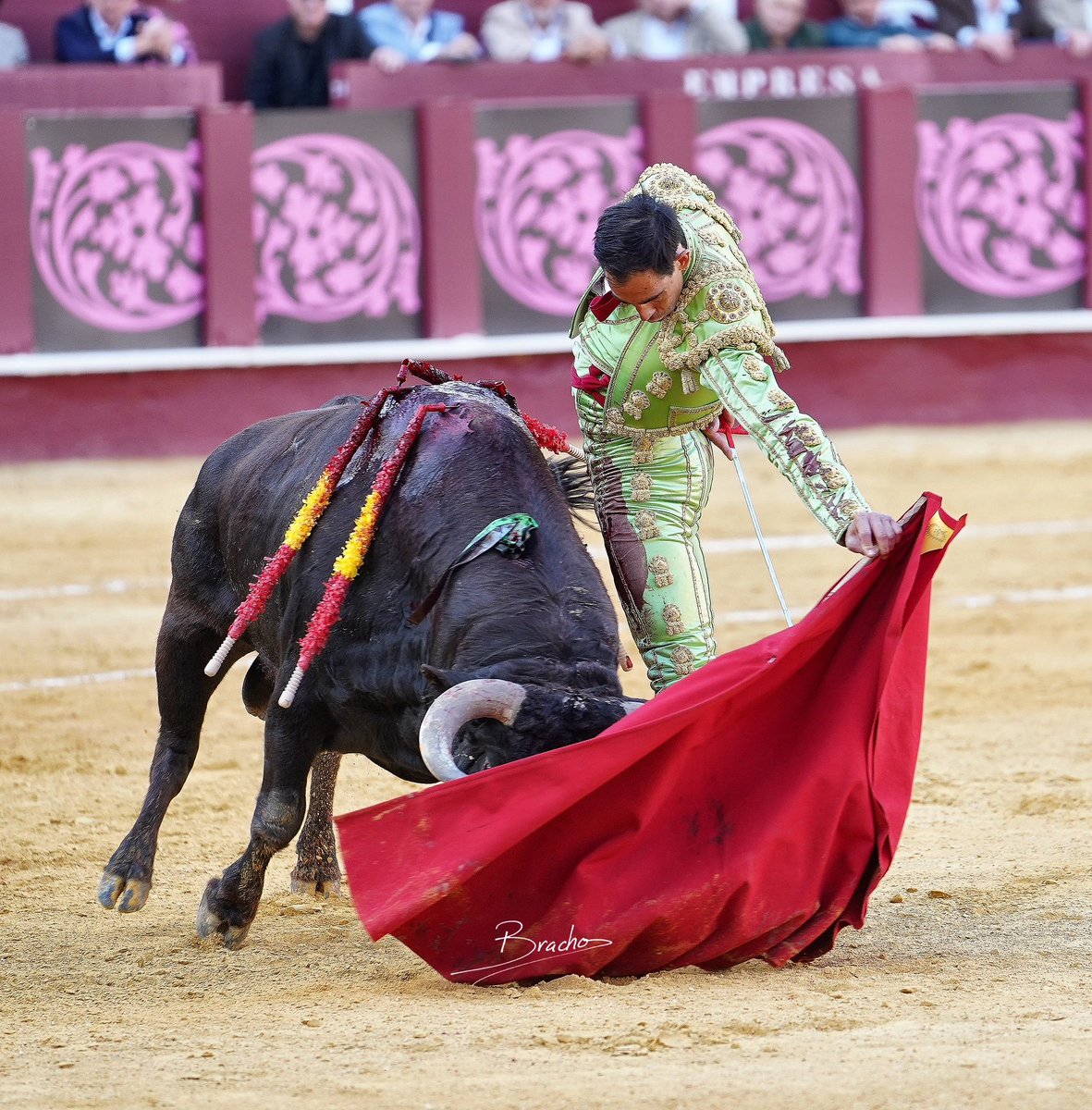 De nuevo, Fortes .
Picassiana 2025