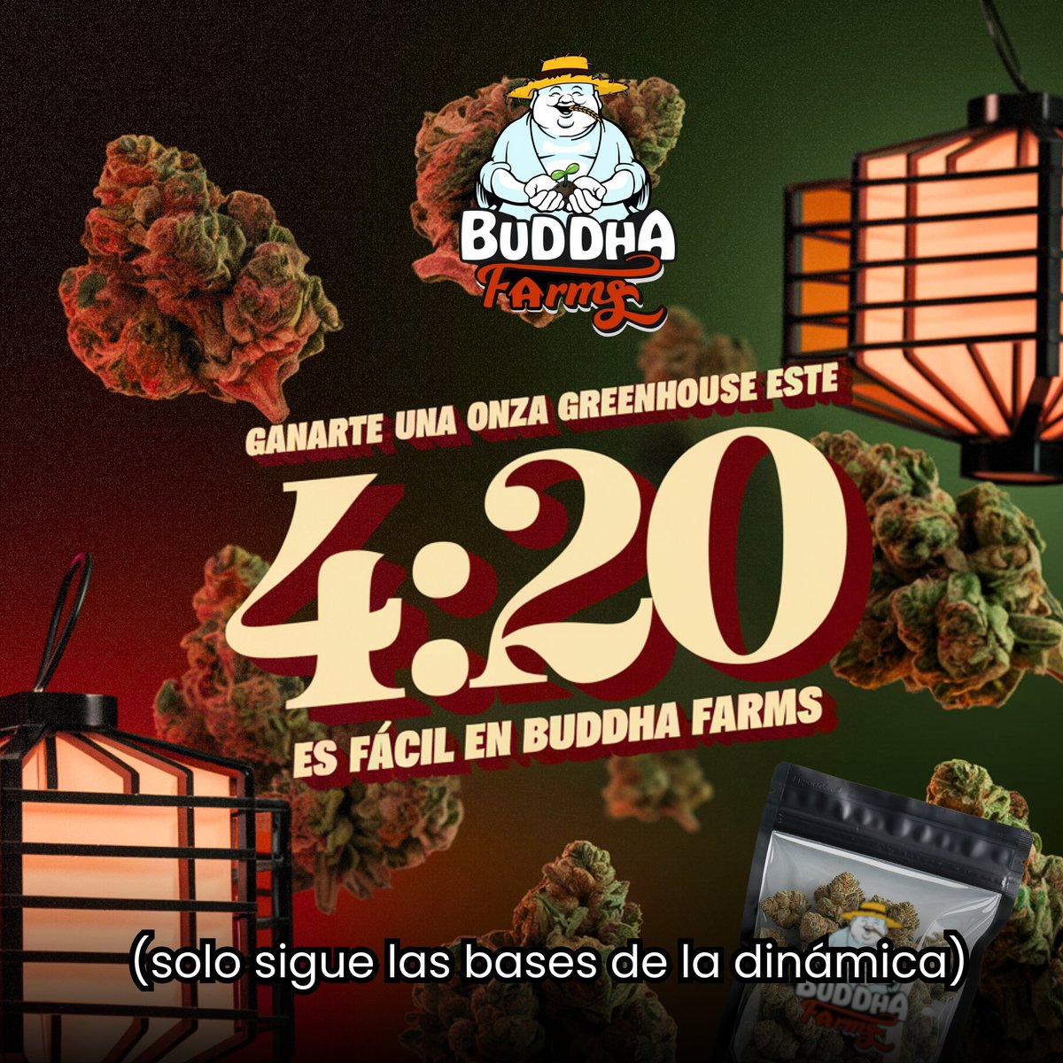 🥦 Giveaway 420 con Buddha 🈵
Participa y gana 1 de las 2 Onzas de nuestra flor GH,es muy sencillo y facil poder ganar...
Solo deja tu like y RT 🔁 escojeremos a los 2 ganadores mañana en punto de las 4:20 de la tarde.🏆 🍀
#giveaway #Sorteo #buddhafarms
#420community #420Mexico