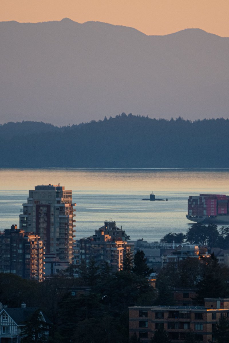 Nice to see Corner Brook out and about