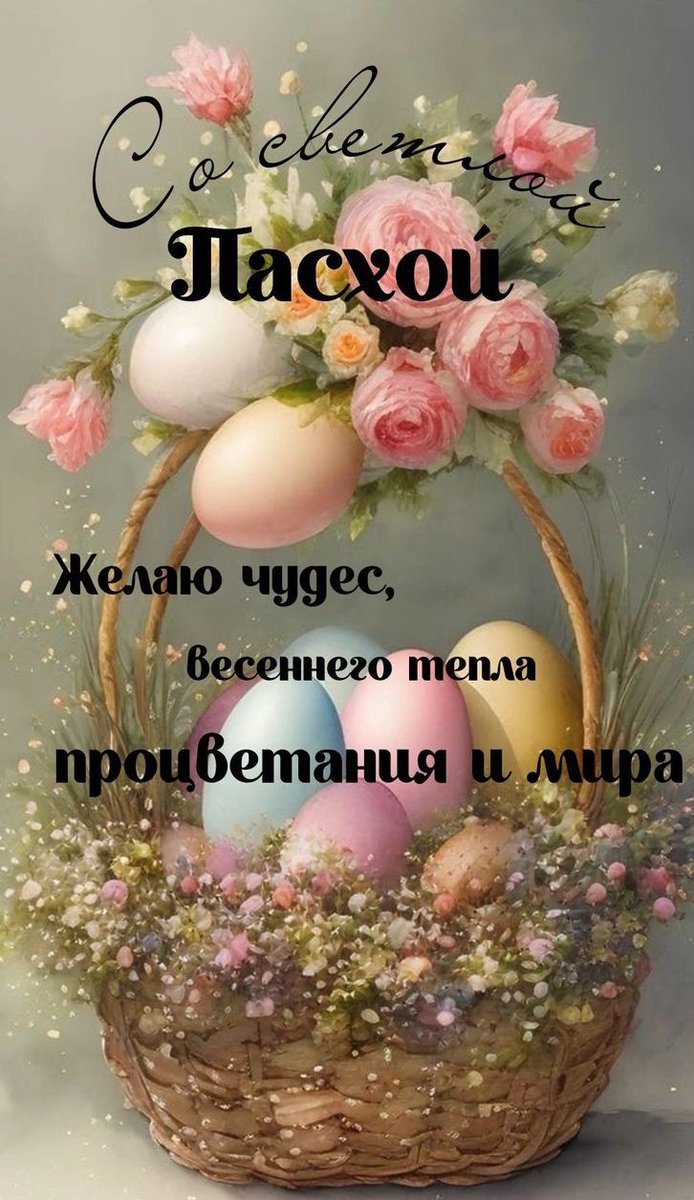 LudMila tweet media