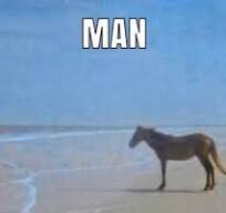 Biggesthead2007's tweet photo. @DeadRailsRBLX Horse. because im hungry. https://t.co/BVAJbLGLNW