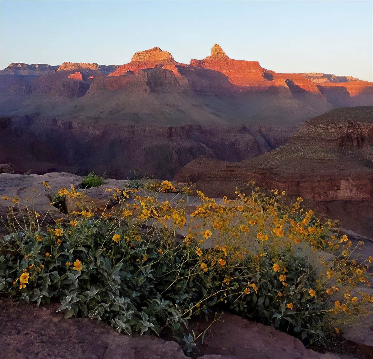 GrandCanyonNPS's tweet image. The setting sun offers us an opportunity to step back and reflect on the day. It gives us a moment to just be. 

It reminds us that tomorrow brings new possibilities. 

Find yourself, Find Your Park: 
go.nps.gov/gc-npw (219)

#FindYourPark #NationalParkWeek #GrandCanyon