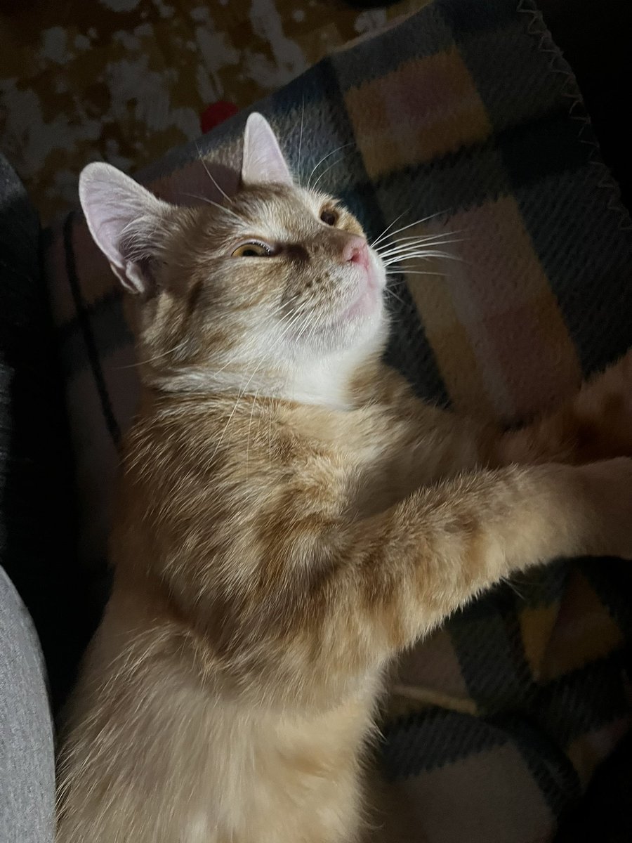 trina319's tweet photo. Cutest boy ❤️ https://t.co/k9XEpXsN7U