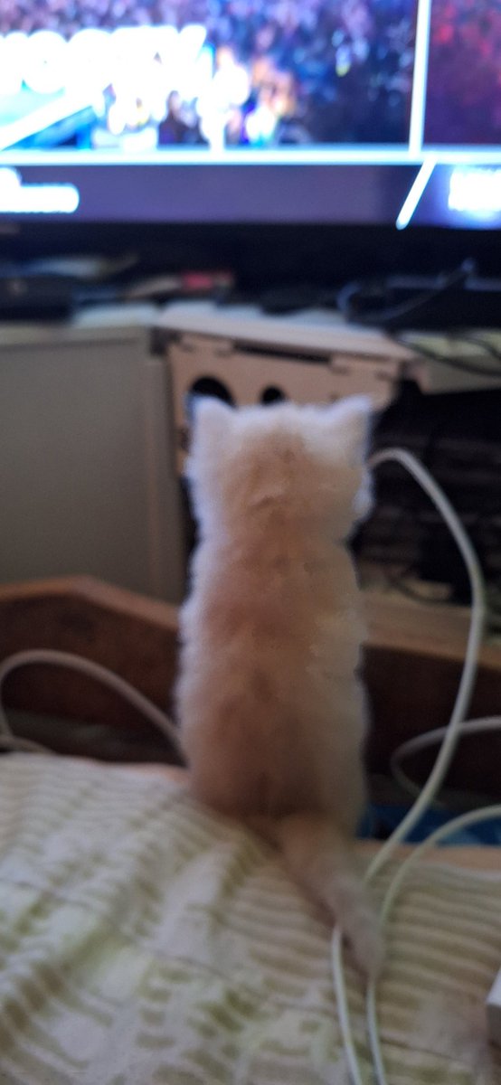 Si muning naki Enhypen din!

#ENCHELLA #ENHYPEN #Coachella2025