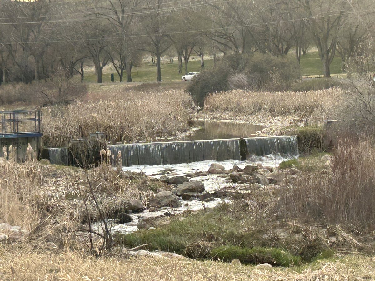 HatLawnBowler's tweet photo. Saturday evening. #medhat #sharethetrailmh #springinalberta https://t.co/8eLV8CwTOK