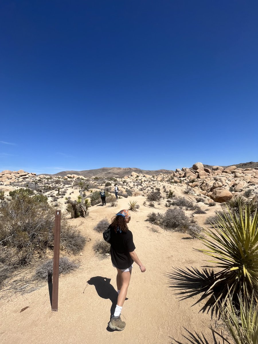 bigtrish14's tweet photo. Joshua tree 🏕️ https://t.co/WGolGBZfJI