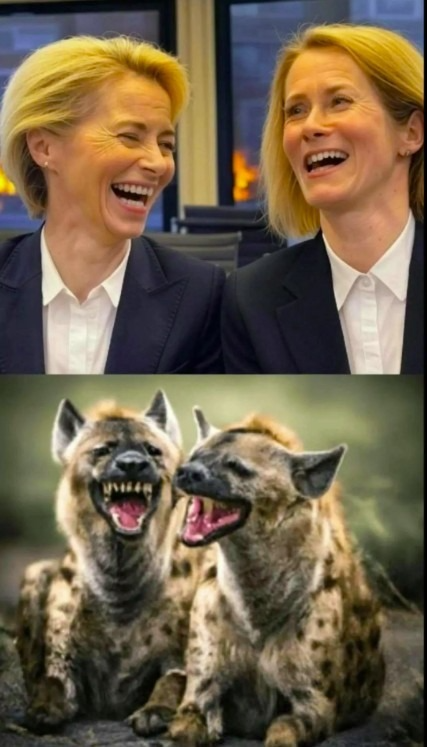 My Web ☭ 🇷🇺 (@mywebssu) on Twitter photo 