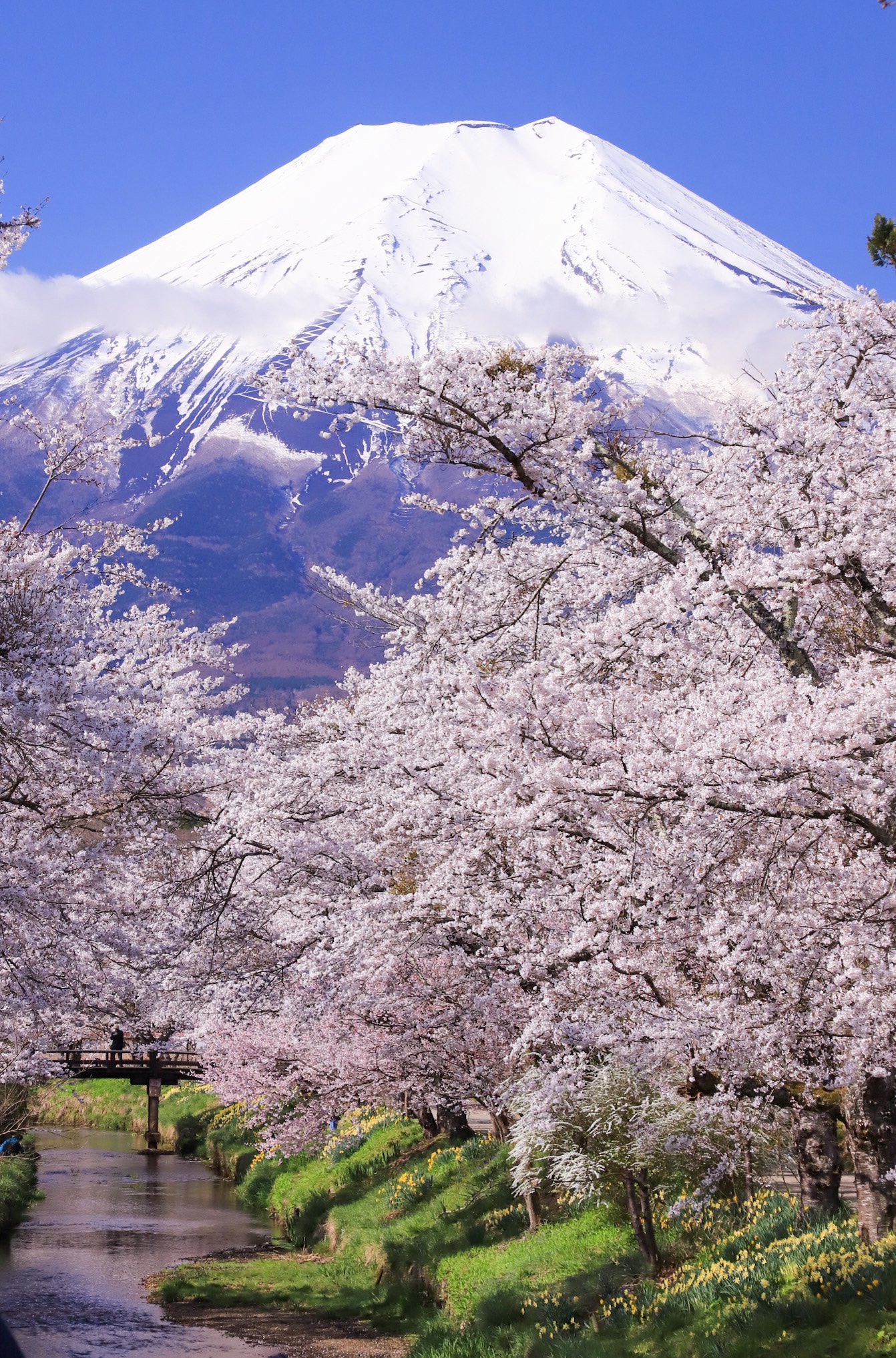 Satoshiの絶景 富士山✨🗻✨✨✨ on X: 