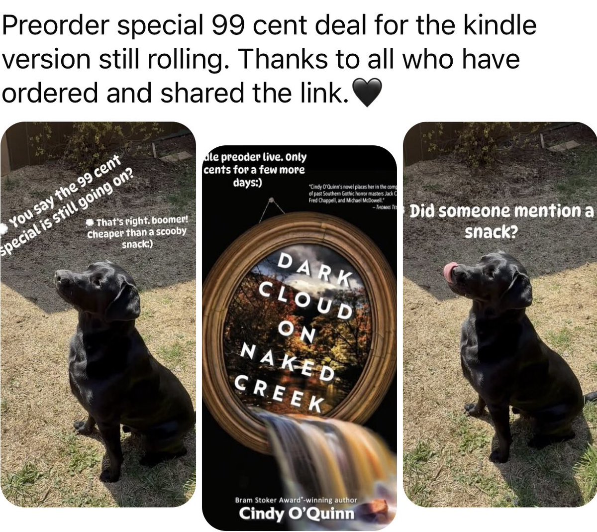 Cindy O’Quinn (@coquinnwrites) on Twitter photo 