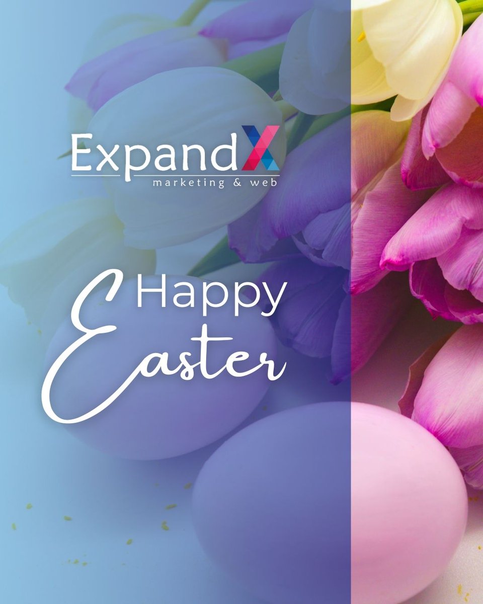ExpandX Marketing & Web tweet media