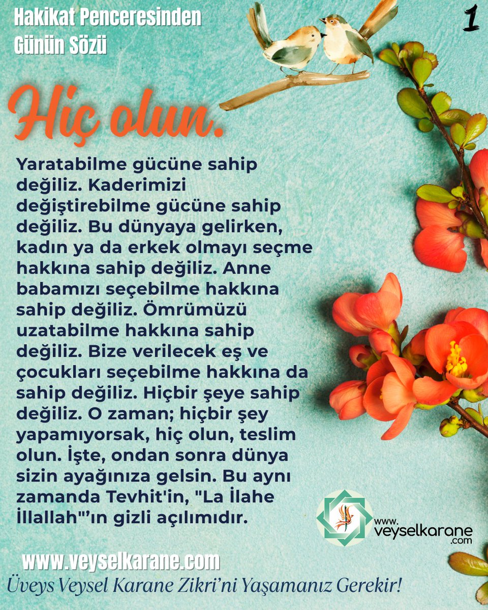 Bütün güç ve kudret Allah'a aittir. Ancak Allah bazı kullarına bazı konularda yetki verir. Sizlere Üveysliği yaymayı vermesi gibi. Hiçbir şeye gücüm yetmiyorsa yaptırım olarak, o zaman Allah'ın bizden istediğini yapalım. Onu bütün Müslümanlara Allah bildirmiş.
#ÜVEYSLİK