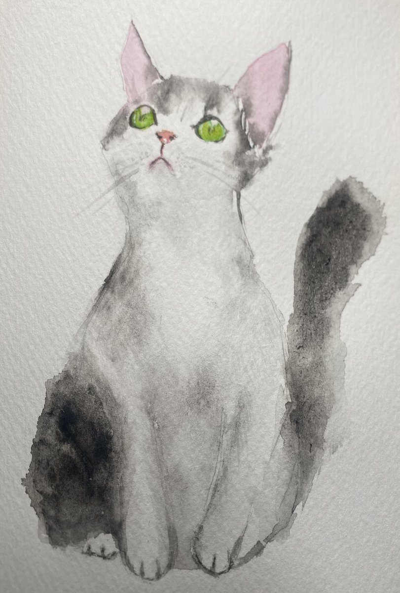 big_hikenai's tweet photo. 最近できてなかった練習
「滲みでかくねこ」より「見上げれば」

乾いた後の掠れ具合が全然違う‥
なんでだろう‥
#水彩画
#猫 https://t.co/NOgBsDMfxM