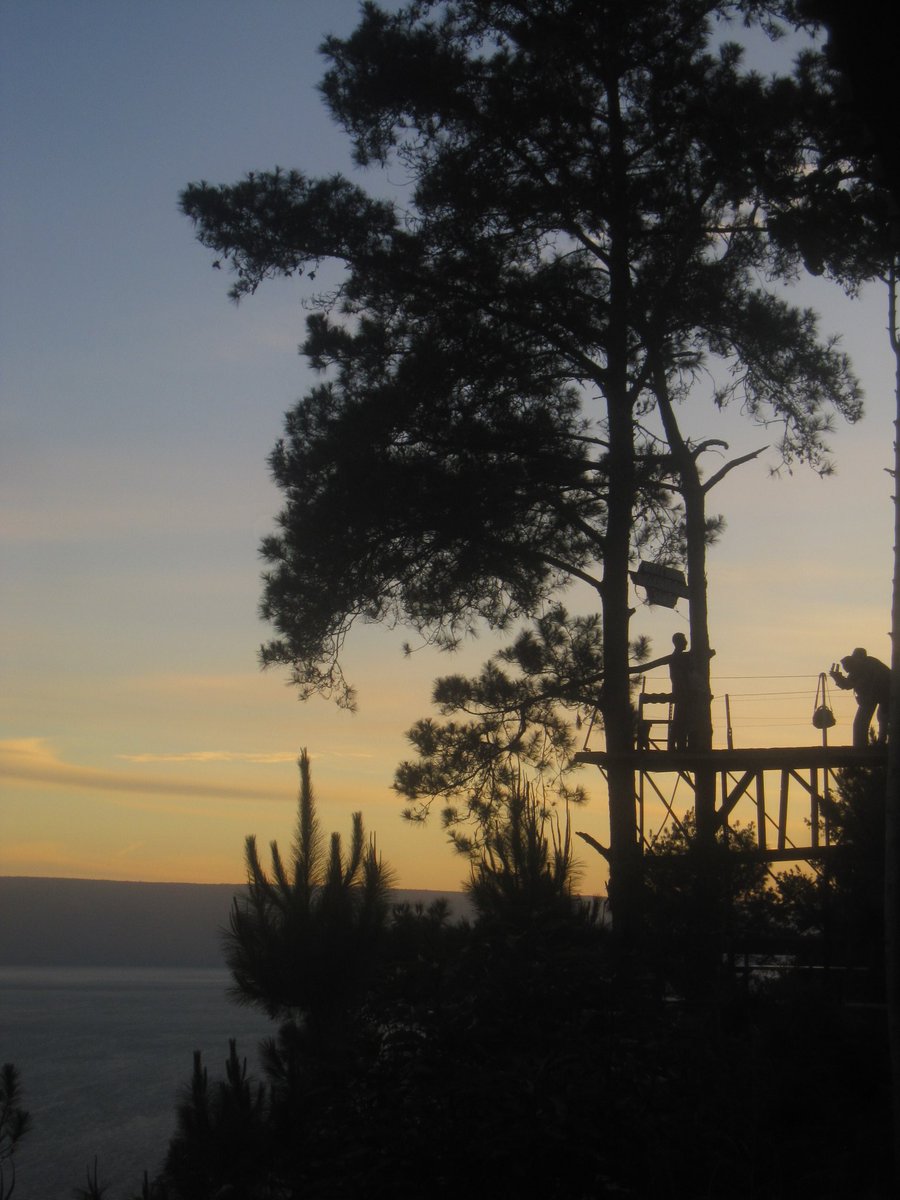 meloyoui tweet media