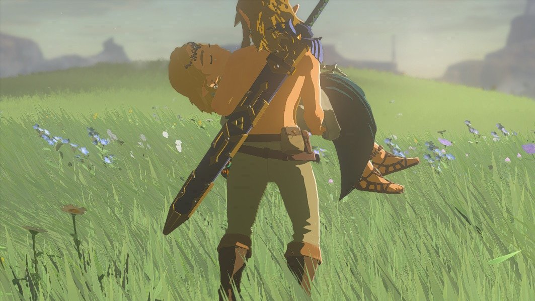 pam ▴ (@zelinkslullaby) on Twitter photo 