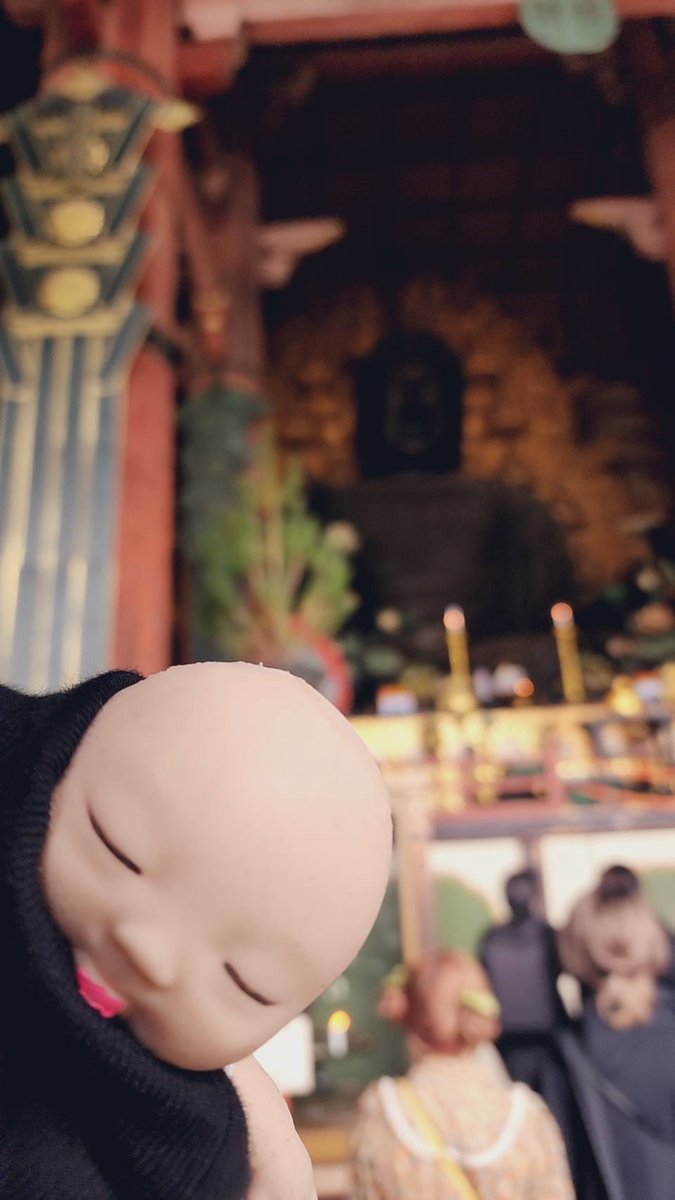 b3_re4's tweet image. #アグリーベイビー
#むぎちょこ
むぎちょこちゃんの1日