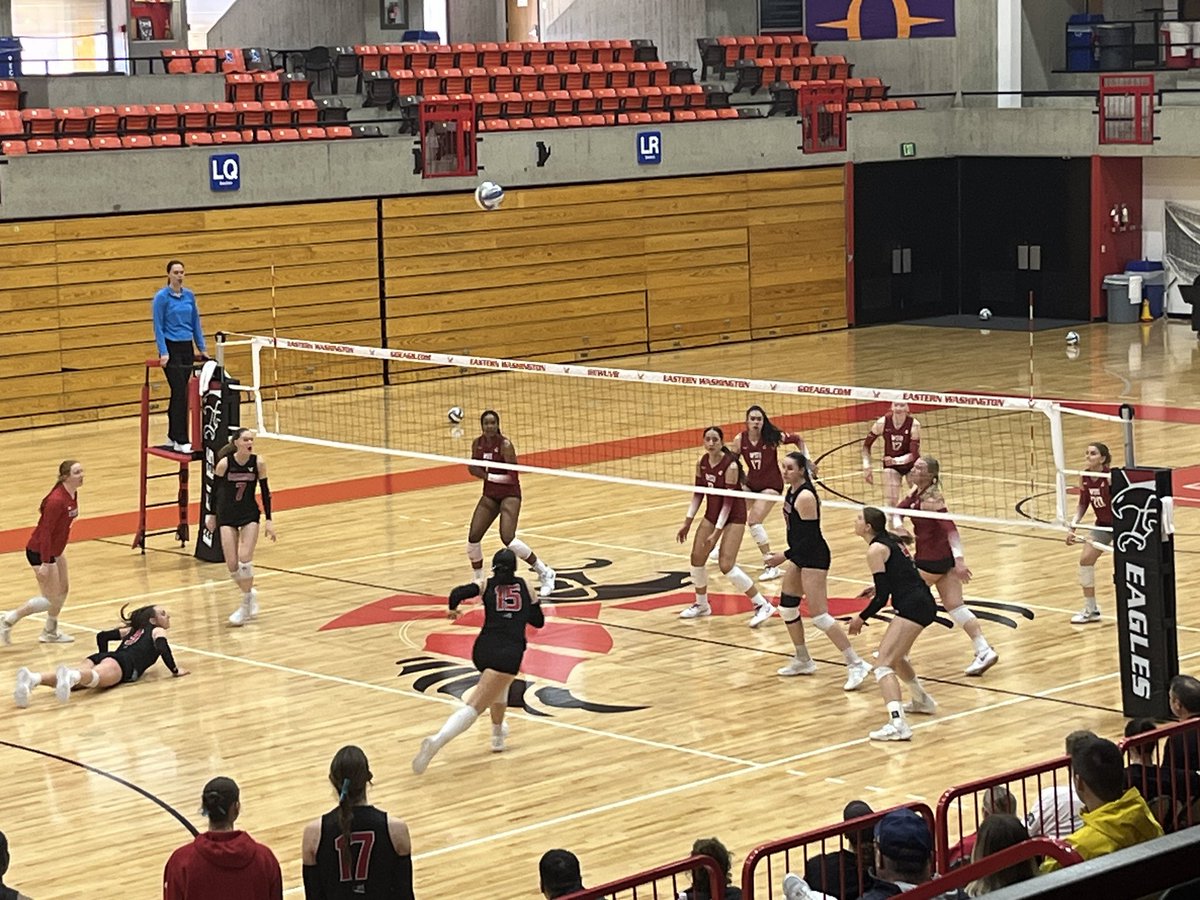 Shari McMahan tweet media