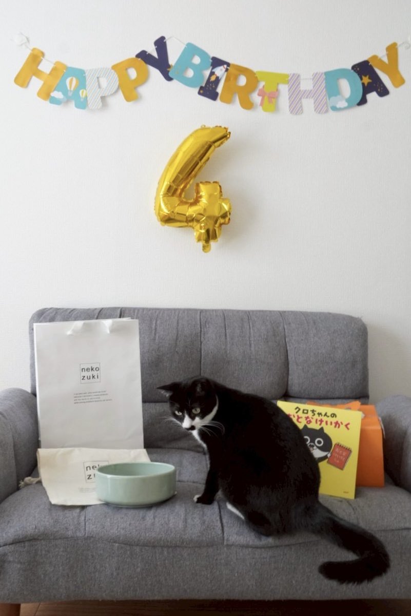 __anoano's tweet photo. おしゃ、17日で4歳の誕生日でした🎊
今年のプレゼントはヘルスウォーターボウル🎁 https://t.co/2f1Iiq3B7r
