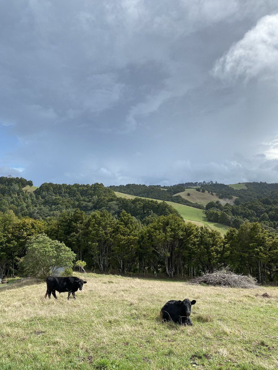 Powercut day 5. Waiting….waiting…