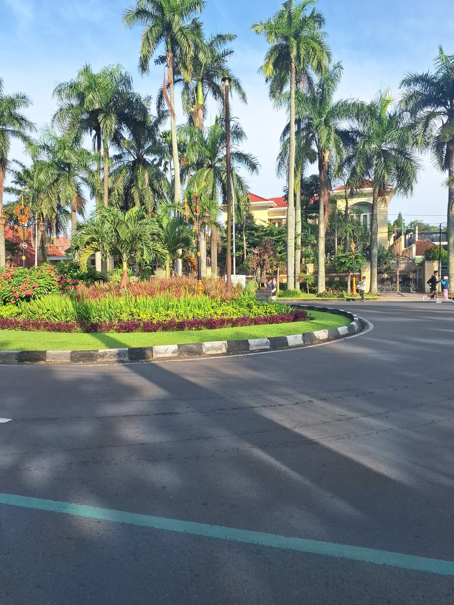 oopoopoopooo's tweet image. sok