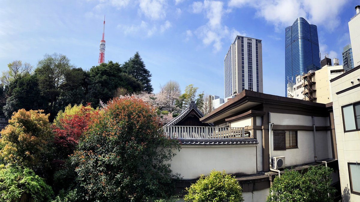 oteracafe's tweet photo. 【テンプルモーニング 神谷町 光明寺】明日！
2025年4月21日(月)AM7:30〜8:30
〜お寺の朝から一日を始めませんか?〜
お坊さんと一緒にお参り・掃除・お話
無料、予約・自己紹介不要、誰でも歓迎
手ぶら、途中参加離脱OK
雨天時はテラスで
お寺カフェ集合！
担当僧侶は松本紹圭さん です
#templemorning https://t.co/duEb3yDpTC