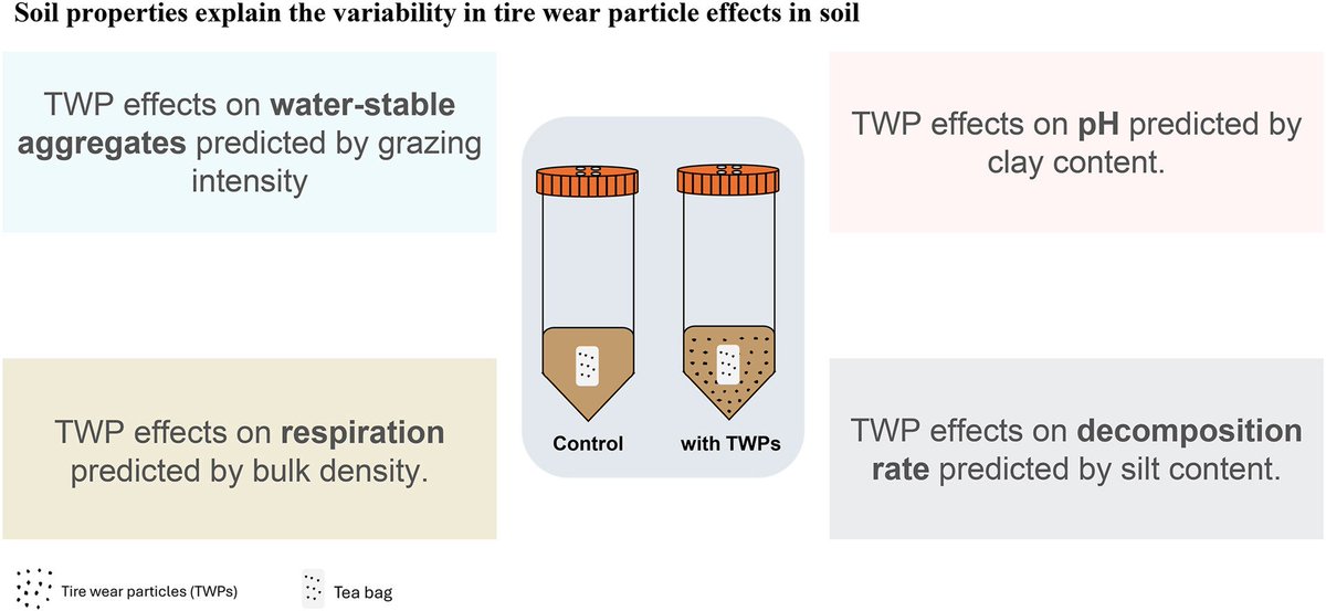 New paper by Tingting Zhao in our lab, collab with several other lab members:

Soil properties explain the variability in tire wear particle effects in soil based on a laboratory test with 59 soils 

Work done in the <a href="/BExplo_research/">Biodiversity Exploratories Research</a> #microplastics 

sciencedirect.com/science/articl…