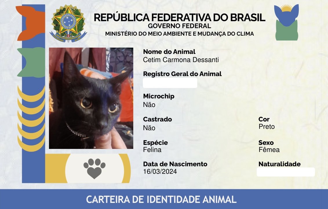 markindessanti's tweet photo. Agora as meninas estão devidamente cadastradas, registradas e documentadas na família Carmona Dessanti!!! 😻😻

Eu e @cacaucarmona_ estamos muito felizes!!!

Valeu, @LulaOficial!!!

#SinPatinhas https://t.co/ODFGHd9mGR