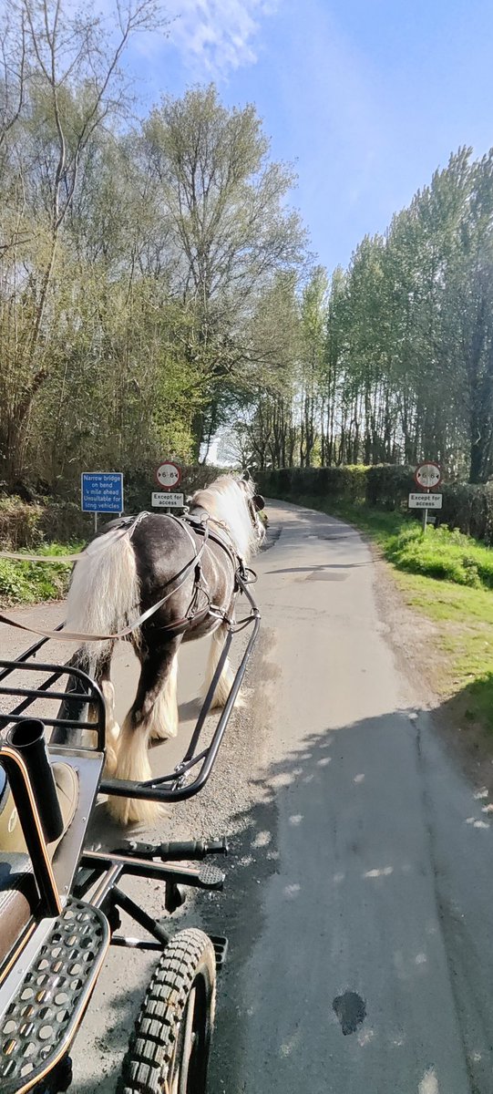 Sussex by horse was pretty special 🥰