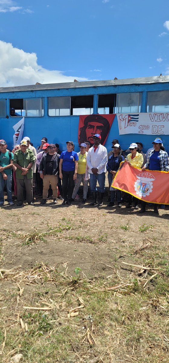 Con #HonorHolguinero y desde temprano en la mañana en saludo a la victoria de #Cuba en Playa Girón y al 1ro de Mayo nos movilizamos a sembrar caña con los baguanense. Sembradas más de 3 ha en esta tierra de #HolguínSí con importante aporte a la producción de alimentos.