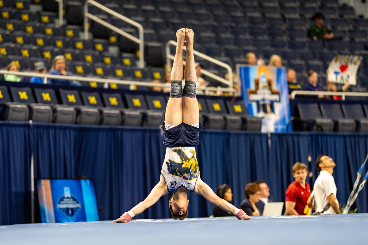 One to go!  

High Bar: Shimizu 12.366 
Floor: Bardana 13.233, Roald Gadderud 12.800

#GoBears🐻