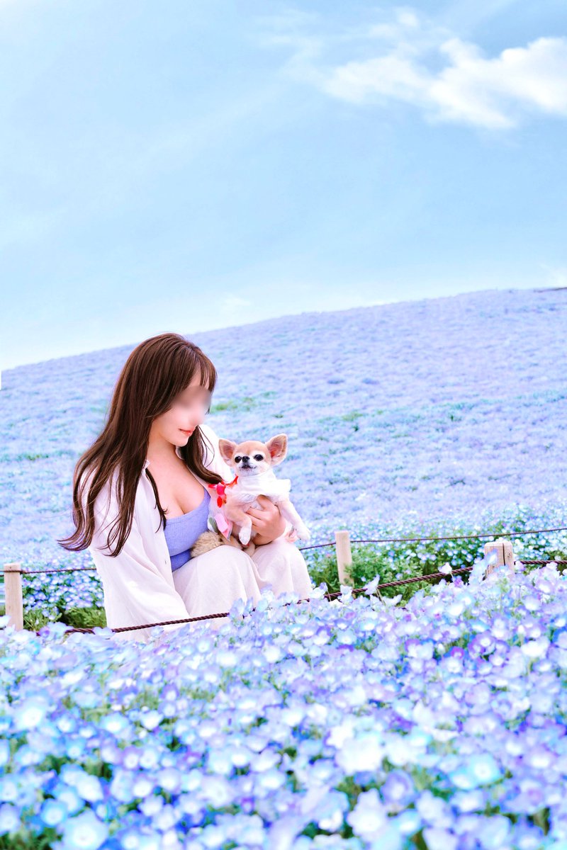 ネモフィラの花言葉「どこでも成功」

#ポートレート #ネモフィラ畑