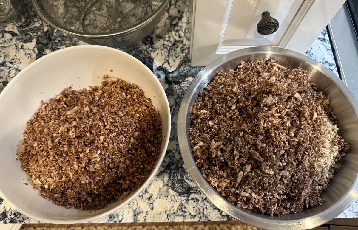 Cat in the Hat tweet media