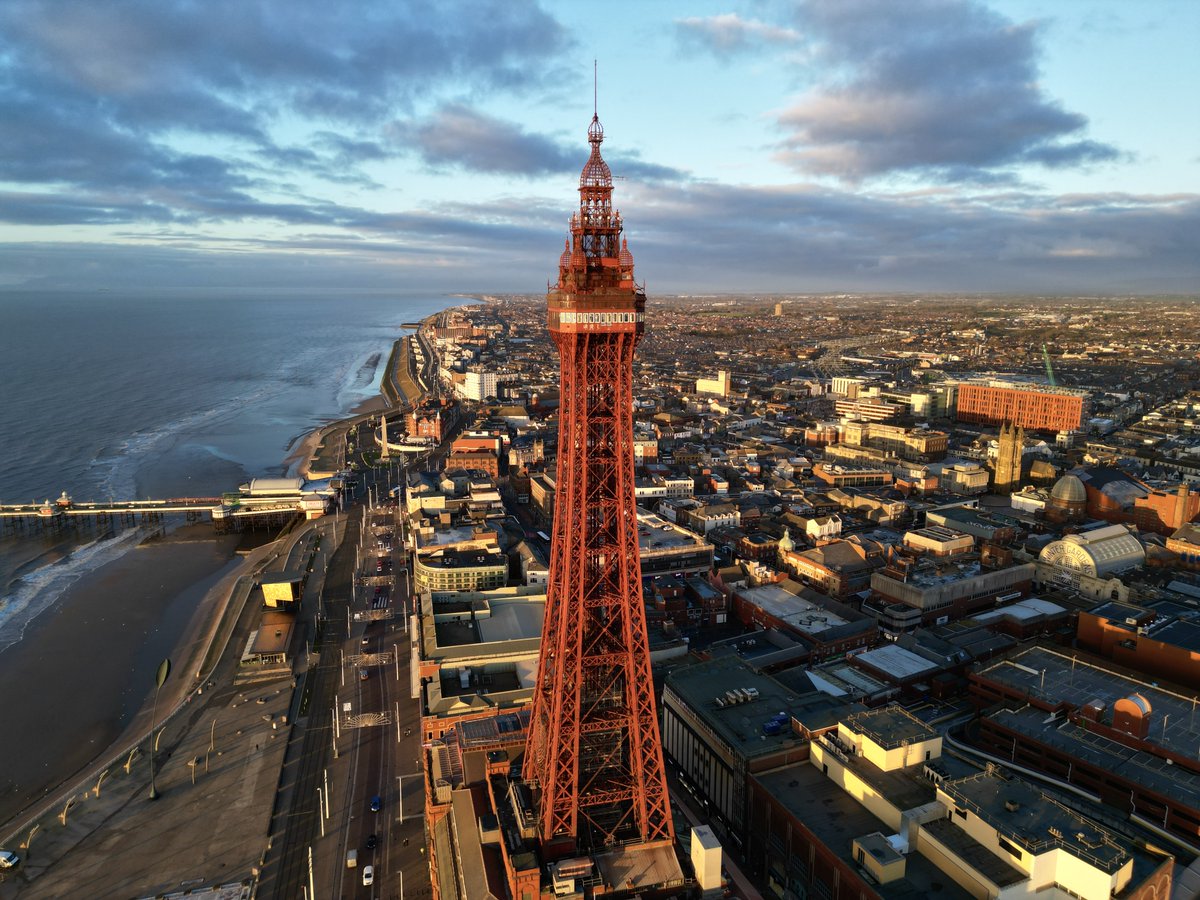 Bolton Video Co. tweet media