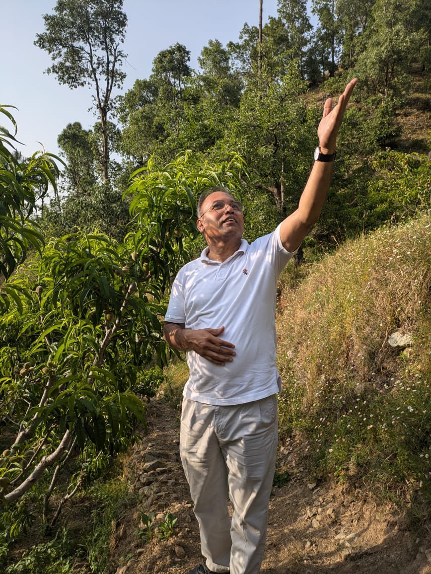 drakarun's tweet photo. Apricot fruiting at Ramgarh (Uttarakhand) https://t.co/pRx0M3iVgZ