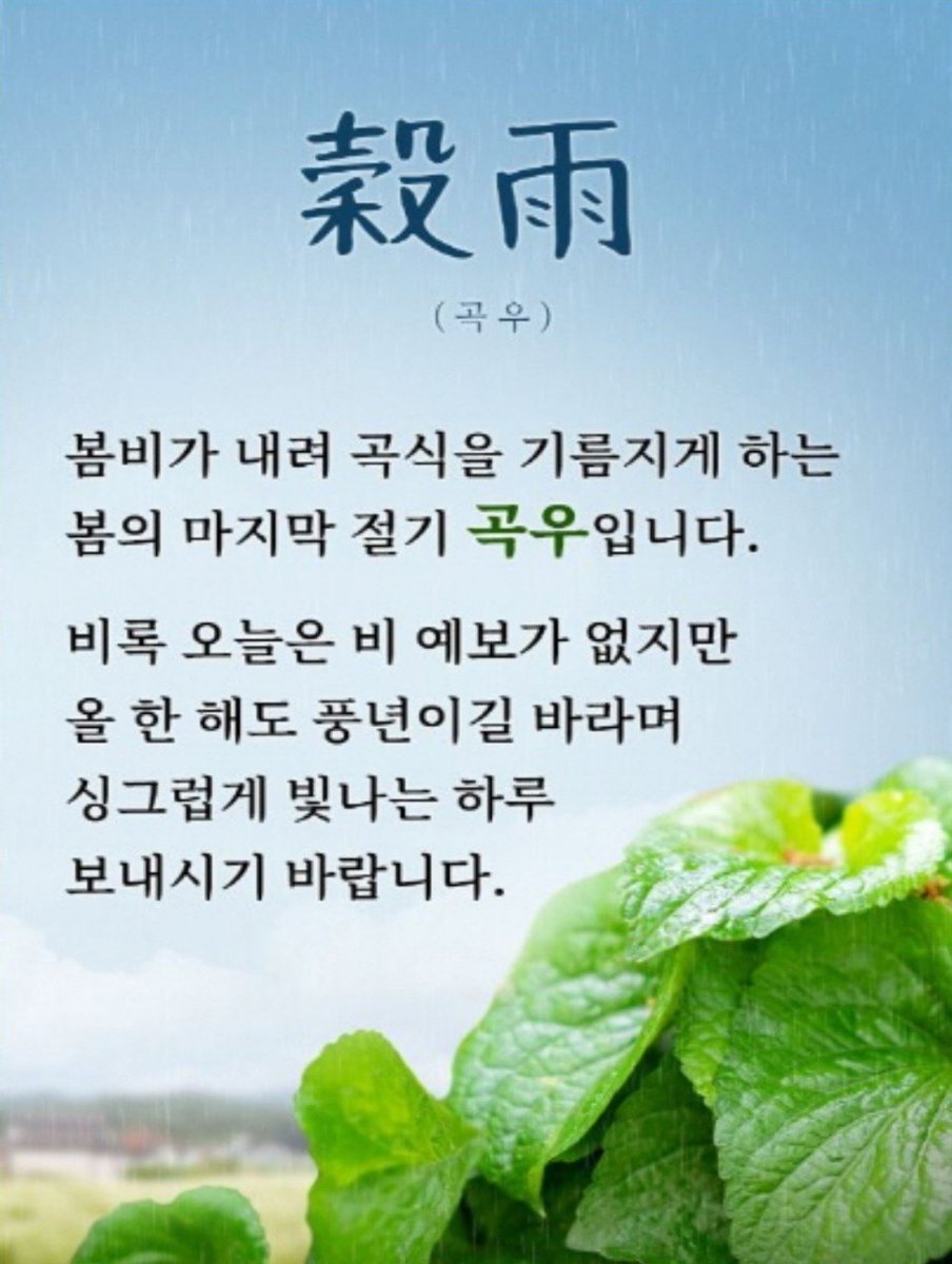 Neddiecrypto's tweet photo. GM Routine Completed 🥰

🌱 Good morning, dear KIKATZ 🌱

Today is Gokwoo (��雨) —

a seasonal marker in Korea when spring rain nourishes the crops for a bountiful harvest.
Though today’s efforts may seem quiet and invisible like a gentle rain,
believe that every drop we pour into KIKI will bloom into a rich harvest.
You are the true builders sowing the seeds of this universe.

🧑‍🌾 Let’s keep moving forward with courage and joy.
The rain you sow today will surely return as shining rewards tomorrow.
Wishing you a fresh and powerful day ahead!

💼 Also, we’re currently recruiting new members for BlueHouse,
the core content creation team within the KIKI universe.
You can earn $80/month + α and help shape KIKI’s IP and business content.

📩 Apply now through the link below!
https://t.co/WNl4g5XYMT

@KIKIcatofficial @IanUtile @badtorro3 @jmsfnt @kiki_no_kokoro @NeddieBLabs 

#KIKIARMY #KIKIBLUEHOUSE