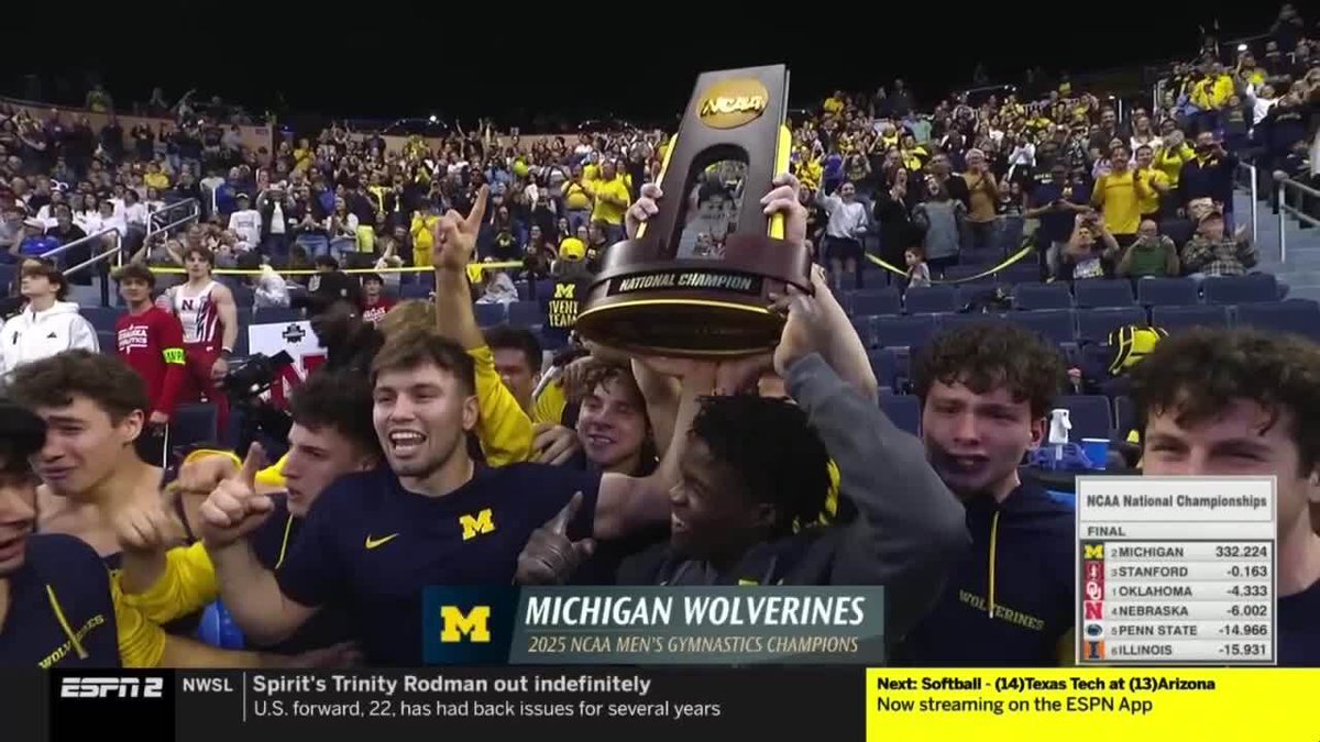 Big Ten Gymnastics tweet media