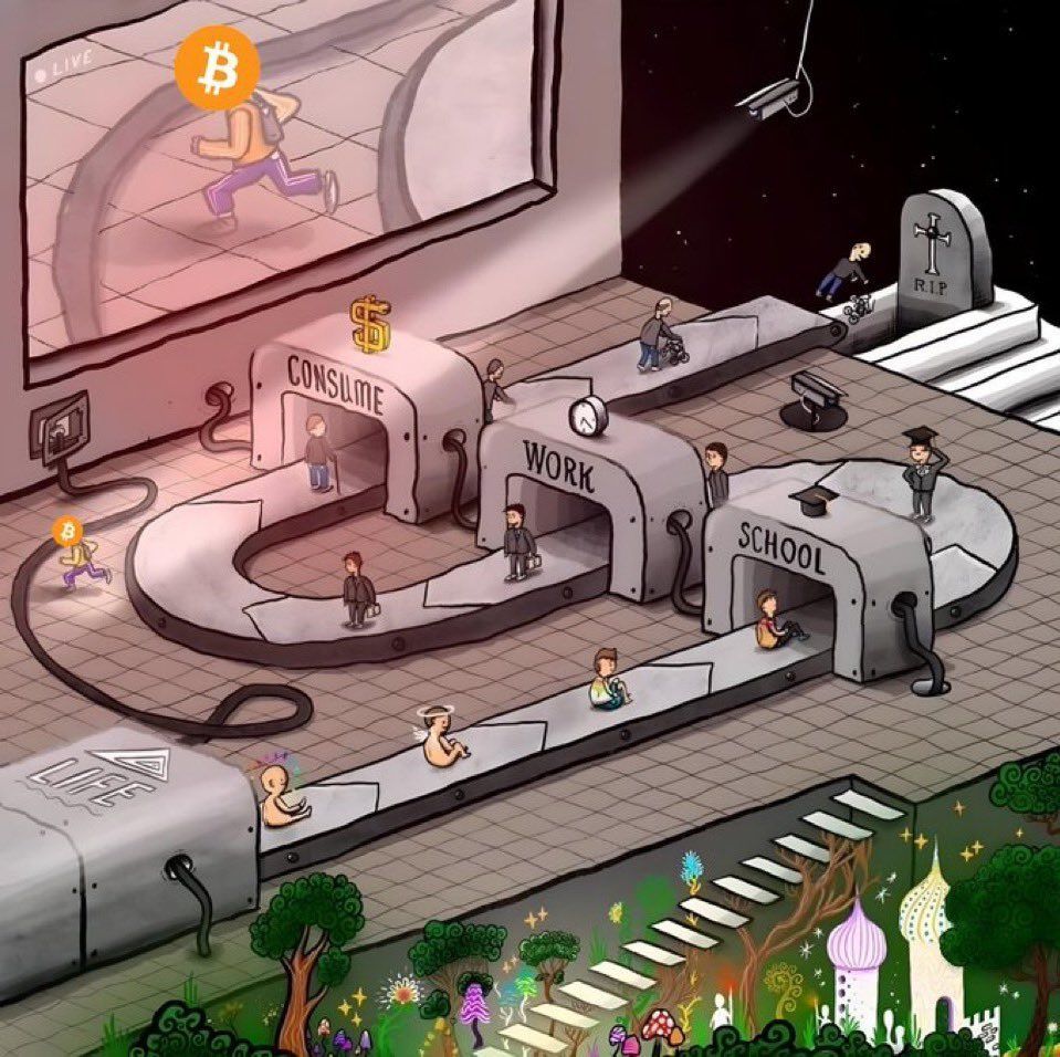 Bitcoin_Teddy's tweet photo. #Bitcoin There's soo much more to life ! 🧡 https://t.co/iw3MIJSWQV