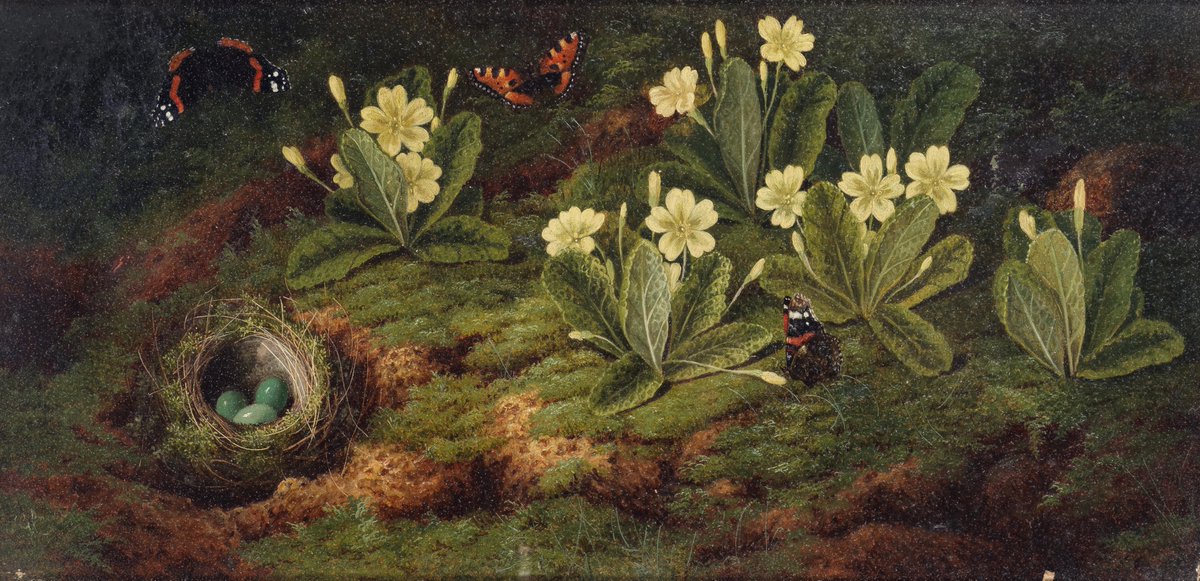 preraphgarden's tweet photo. "Ask me why I send you here,
This firstling of the infant year;
Ask me why I send to you
This Primrose all bepearled with dew ;
I straight will whisper in your ears,
The sweets of love are washed with tears."

𓇬 The Primrose, Thomas Carew 𓇬 https://t.co/FArqu5FClG