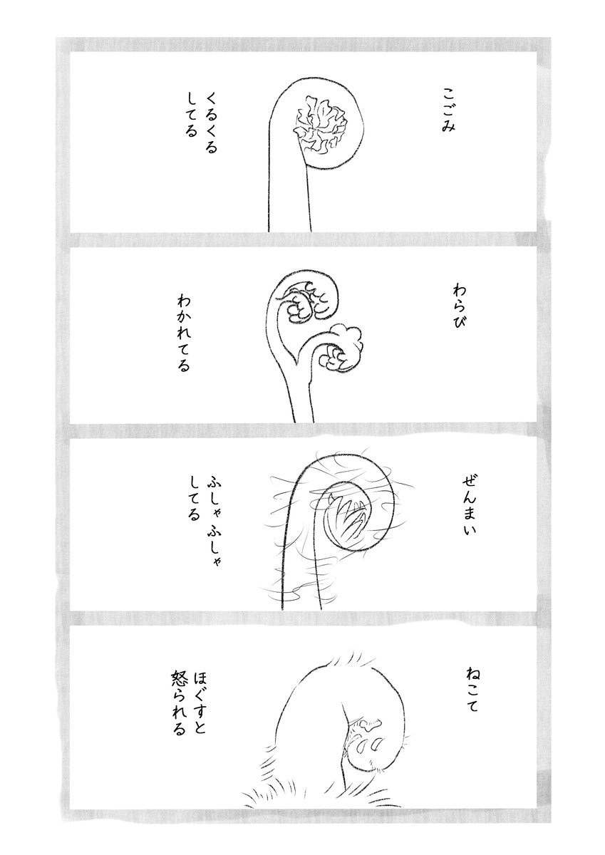 どうしても似て見える
ほぐしたいくるくる集 