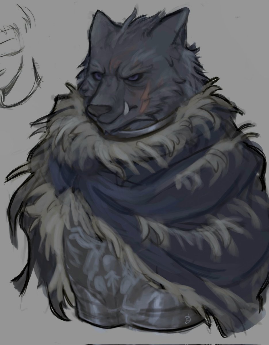 Blaidd drawing, I was sketching Corhyn on the side #ELDENRING #blaidd