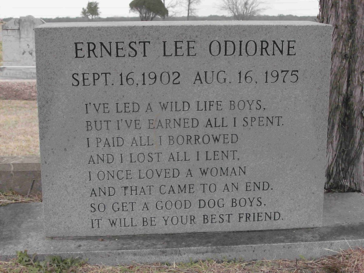 Traces of Texas tweet media