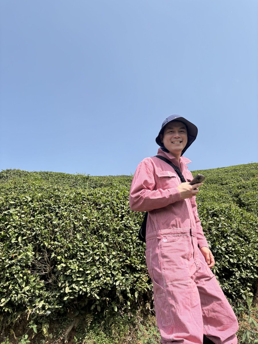 SandzTokyo's tweet photo. 漢中市にある茶園の見学に行って参りました。午前に摘んだ茶葉は軽量されて��ぐに製茶に回されます。茶摘みの方々はシーズンが始まったら山の中に住み込みで連日茶摘みをするそうです。
#中国茶　#緑茶　#漢中　#茶旅 https://t.co/DQpm5nRIOj