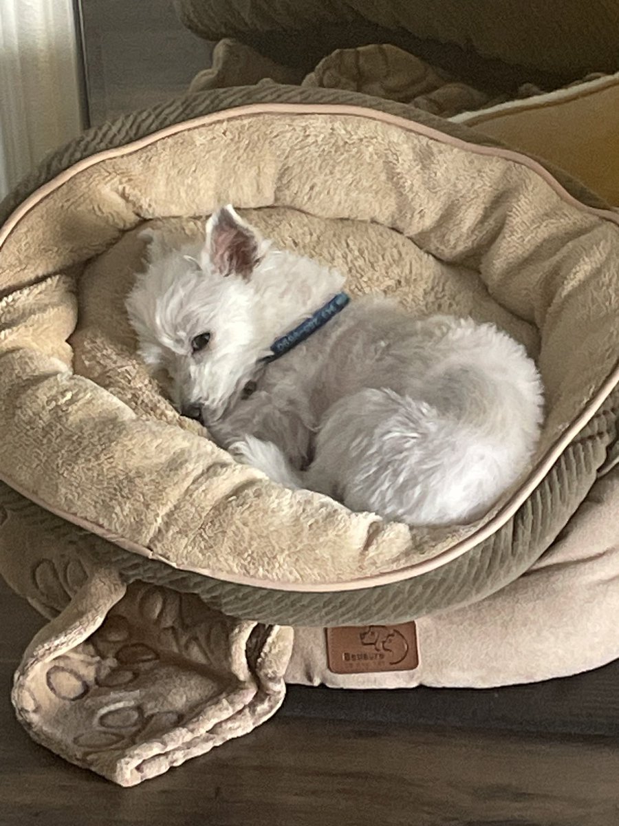 x-Karen ⚡️👑 △⃒⃘ tweet media