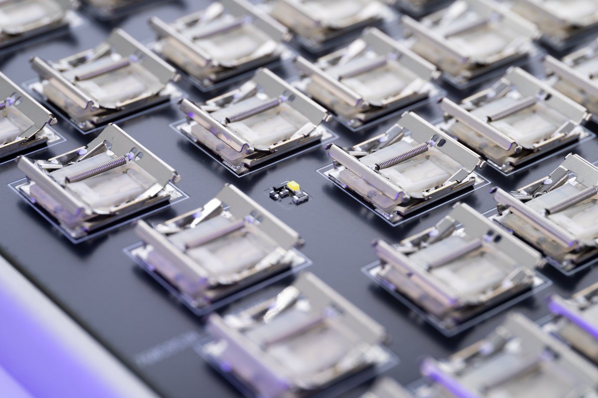 Lukas Henkel tweet media