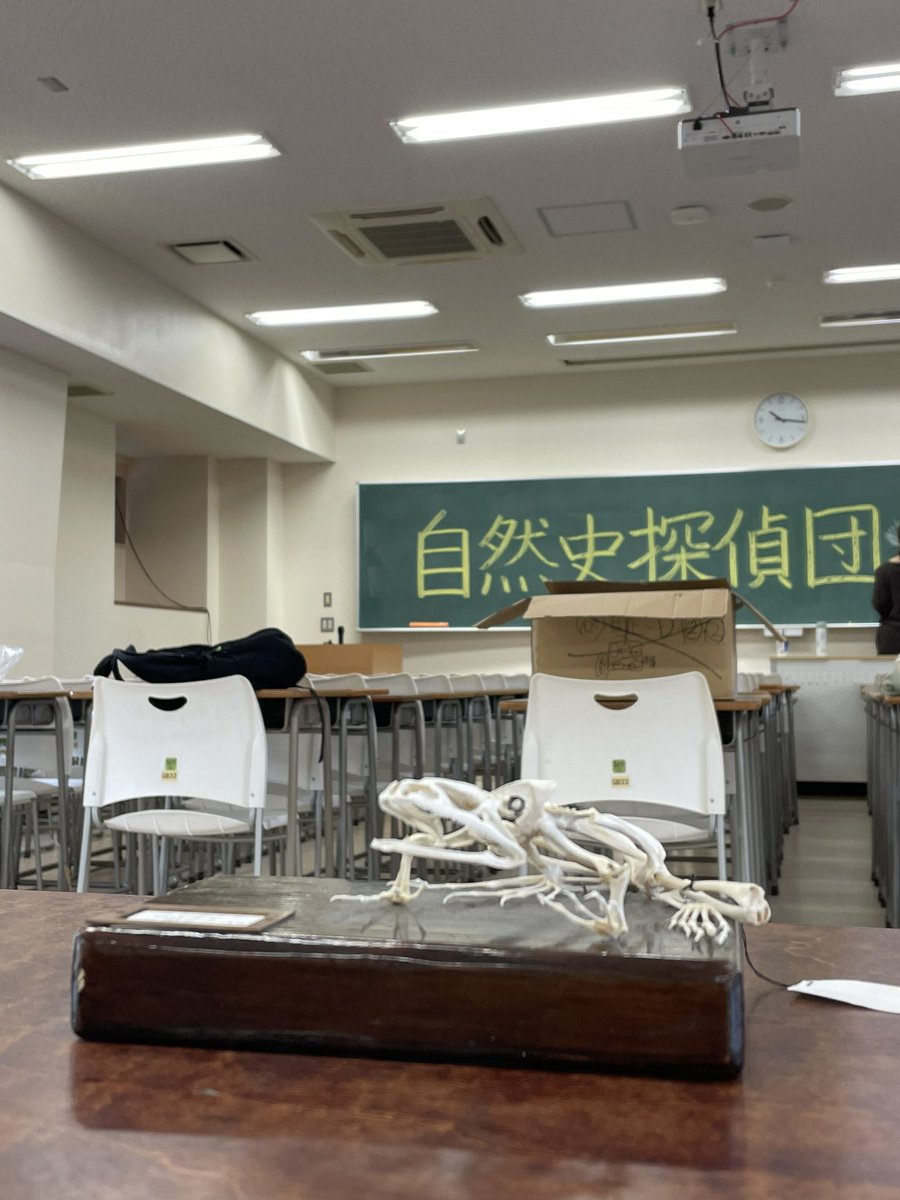 sizensi's tweet photo. おはようございます☀
今日は待ちに待ったサオリです！

自然史探偵団は学生センターB棟のGB32です！お待ちしています♪ https://t.co/A23KEXOUN7